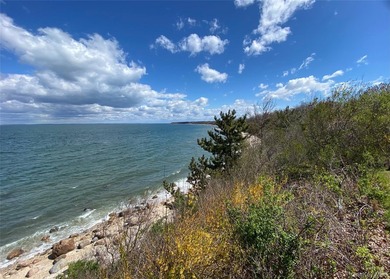 A Rare Opportunity!!! This incredible property boasts 1.75 - photo 11