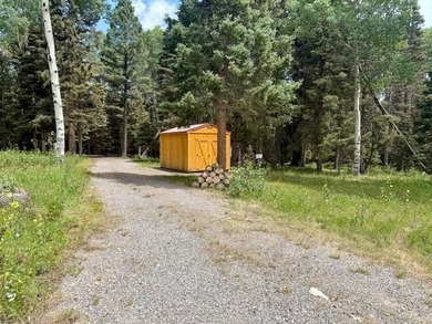 (private lake, pond, creek) Lot For Sale in Cimarron Colorado