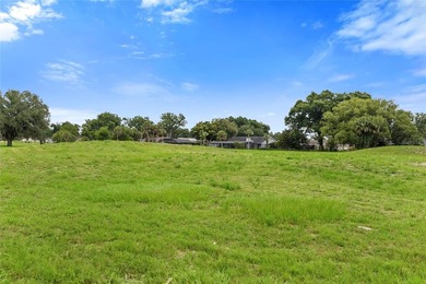 Welcome to 1500 Lucky Pennie Way, nestled within the - photo 34