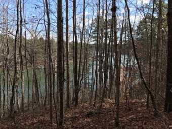 Water Access with easy access to boat slips! - Lake Lot For Sale in Salem, South Carolina