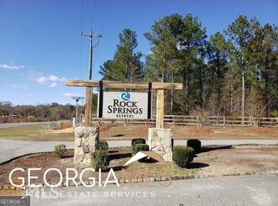 (private lake, pond, creek) Acreage For Sale in Dublin Georgia