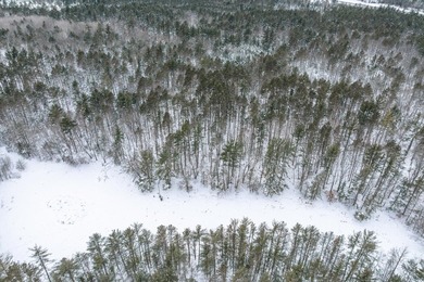 Discover the perfect Northwoods escape to build your dream cabin - photo 12