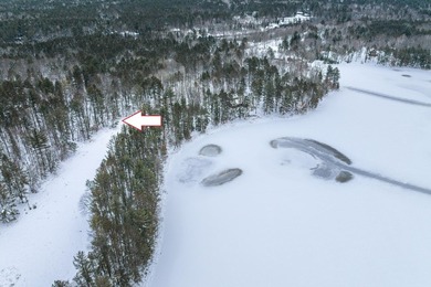 Discover the perfect Northwoods escape to build your dream cabin - photo 13