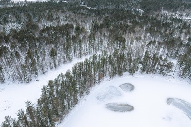 Discover the perfect Northwoods escape to build your dream cabin - photo 14