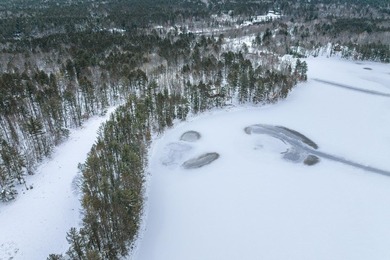 Discover the perfect Northwoods escape to build your dream cabin - photo 15