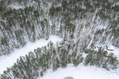 Discover the perfect Northwoods escape to build your dream cabin - photo 16