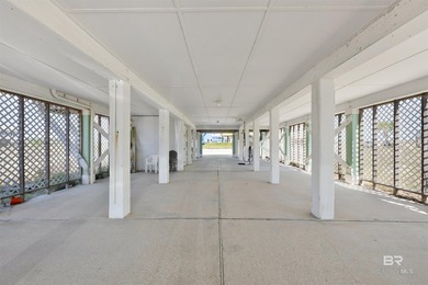 This isn't just a beach house; it's a coastal asset designed to - photo 24