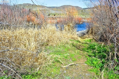 First time on market in 50 years! These ranch headquarters - photo 30