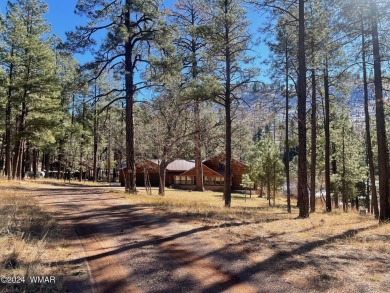 Luna Lake Home For Sale in Alpine Arizona