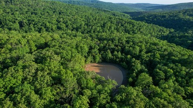 (private lake, pond, creek) Acreage For Sale in Winslow Arkansas