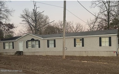 Double wide manufactured home sitting on 3 lots in Lake RidgeLea - photo 1