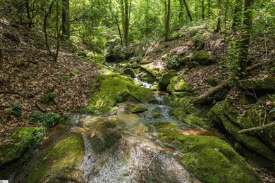 This Lake Keowee this property is full of potential! This land - photo 14