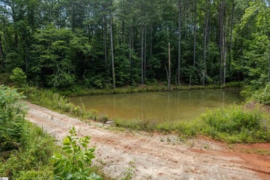This Lake Keowee this property is full of potential! This land - photo 15