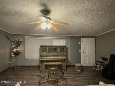 Double wide manufactured home sitting on 3 lots in Lake RidgeLea - photo 5