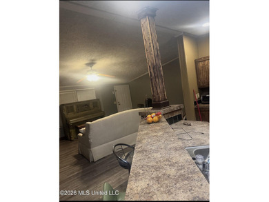 Double wide manufactured home sitting on 3 lots in Lake RidgeLea - photo 6