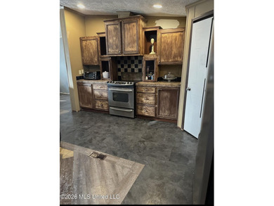 Double wide manufactured home sitting on 3 lots in Lake RidgeLea - photo 10