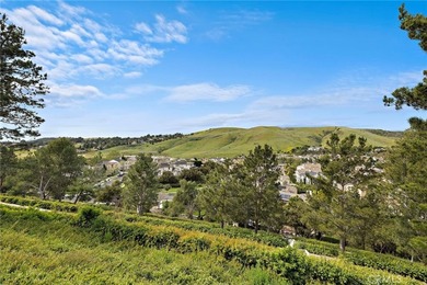 Perched atop a premium 9,000+ sq. ft. west-facing view lot in - photo 47