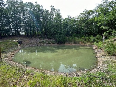 (private lake, pond, creek) Acreage For Sale in Potosi Missouri