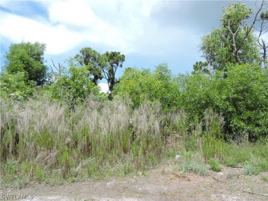 This is an excellent opportunity to own a double lot giving you - photo 3