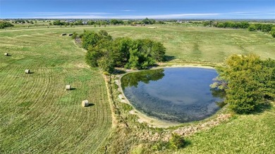 (private lake, pond, coastal) Acreage For Sale in Celina Texas
