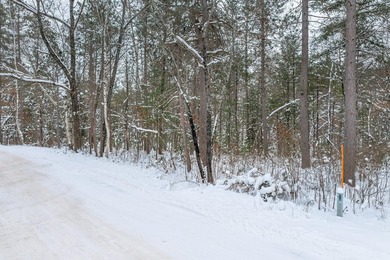 Discover the perfect Northwoods retreat on this 5.35-acre parcel - photo 11