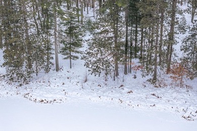 Discover the perfect Northwoods retreat on this 5.35-acre parcel - photo 12