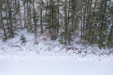 Discover the perfect Northwoods retreat on this 5.35-acre parcel - photo 13