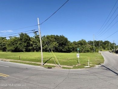 +/-2.00 acres located at the corner of Canty Street and DeSoto - photo 3