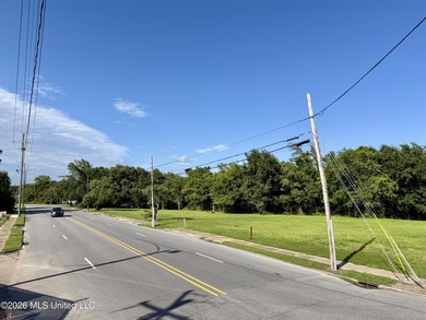 +/-2.00 acres located at the corner of Canty Street and DeSoto - photo 4
