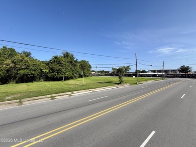 +/-2.00 acres located at the corner of Canty Street and DeSoto - photo 5