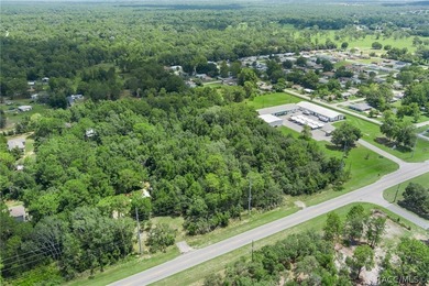 Discover over 4.5 acres of prime real estate, strategically - photo 20