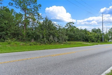 Discover over 4.5 acres of prime real estate, strategically - photo 22