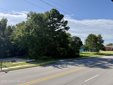 19 acres zoned Neighborhood Commercial. This high-visibility - photo 2