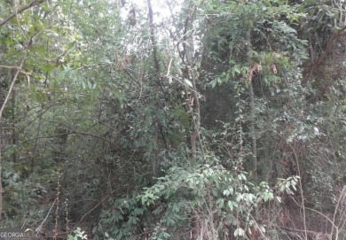 Lake Lot For Sale in Monticello, Georgia