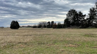 Shadow Lake Estates Acreage For Sale in Wills Point Texas