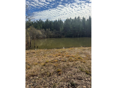 Enjoy the outdoors on this 40-acre tract in Poplarville that's - photo 11