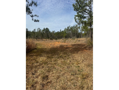 Enjoy the outdoors on this 40-acre tract in Poplarville that's - photo 12