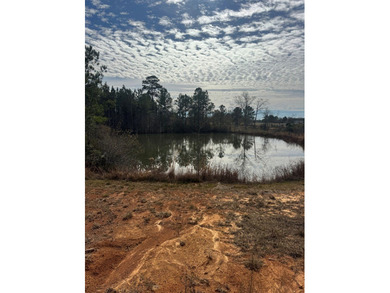 Enjoy the outdoors on this 40-acre tract in Poplarville that's - photo 13