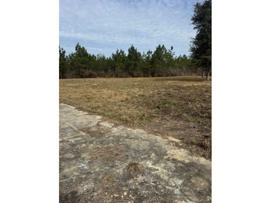 Enjoy the outdoors on this 40-acre tract in Poplarville that's - photo 15