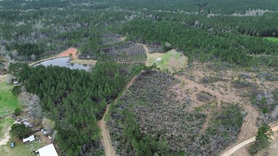 Enjoy the outdoors on this 40-acre tract in Poplarville that's - photo 17