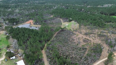 Enjoy the outdoors on this 40-acre tract in Poplarville that's - photo 18