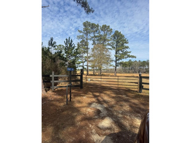 Enjoy the outdoors on this 40-acre tract in Poplarville that's - photo 19