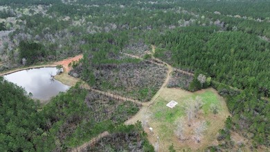 Enjoy the outdoors on this 40-acre tract in Poplarville that's - photo 21