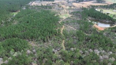 Enjoy the outdoors on this 40-acre tract in Poplarville that's - photo 22