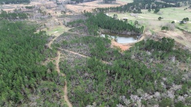 Enjoy the outdoors on this 40-acre tract in Poplarville that's - photo 23