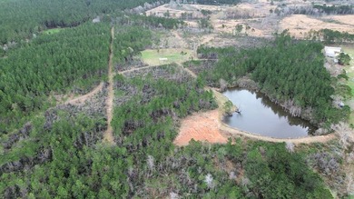 Enjoy the outdoors on this 40-acre tract in Poplarville that's - photo 24