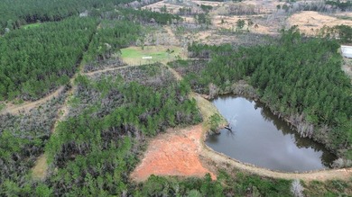 Enjoy the outdoors on this 40-acre tract in Poplarville that's - photo 25