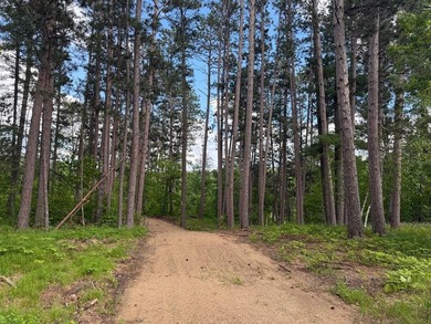 County Home on 12.54 Acres! This versatile property offers - photo 48