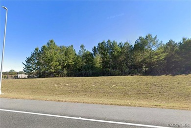Nearly 9 ACRES that's NOT in the Flood Zone! MOBILE HOMES OK - photo 5