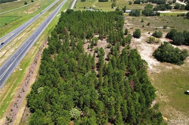 Nearly 9 ACRES that's NOT in the Flood Zone! MOBILE HOMES OK - photo 7